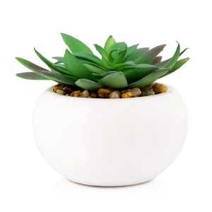 Rectangle Center Folding 4MP