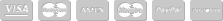 Payment